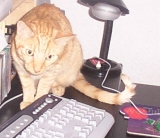 Wo ist der Backslash?